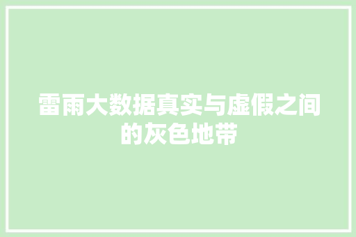 雷雨大数据真实与虚假之间的灰色地带