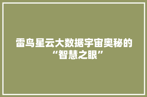 雷鸟星云大数据宇宙奥秘的“智慧之眼”