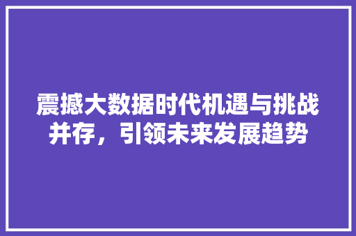 震撼大数据时代机遇与挑战并存，引领未来发展趋势