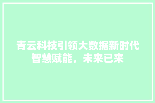 青云科技引领大数据新时代智慧赋能，未来已来  第1张