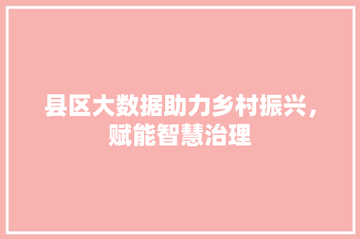 县区大数据助力乡村振兴，赋能智慧治理