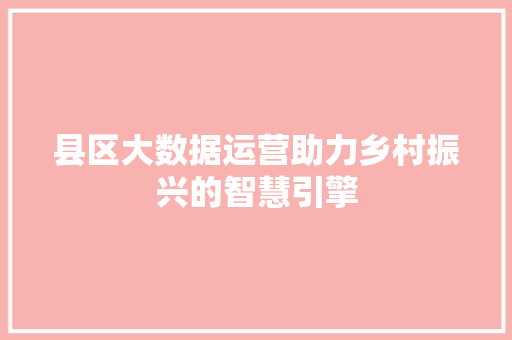 县区大数据运营助力乡村振兴的智慧引擎