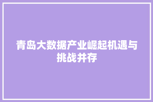 青岛大数据产业崛起机遇与挑战并存