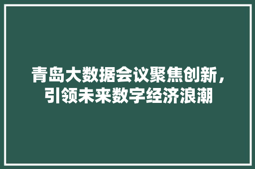 青岛大数据会议聚焦创新，引领未来数字经济浪潮  第1张