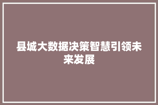 县城大数据决策智慧引领未来发展  第1张