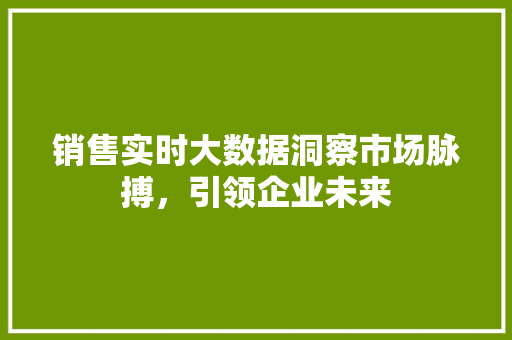 销售实时大数据洞察市场脉搏，引领企业未来