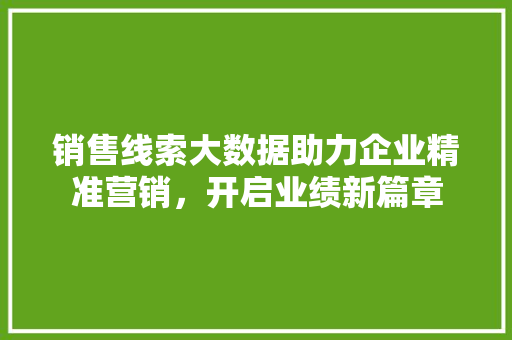 销售线索大数据助力企业精准营销，开启业绩新篇章