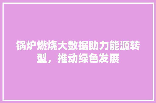锅炉燃烧大数据助力能源转型，推动绿色发展