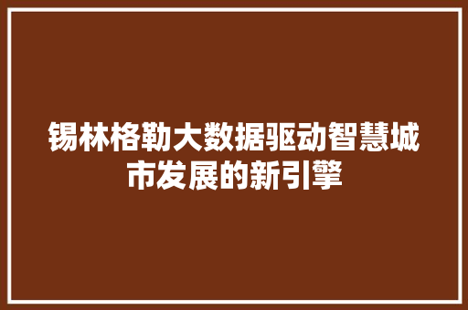 锡林格勒大数据驱动智慧城市发展的新引擎