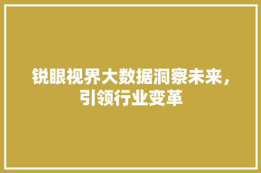 锐眼视界大数据洞察未来，引领行业变革