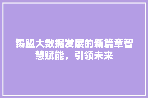 锡盟大数据发展的新篇章智慧赋能，引领未来