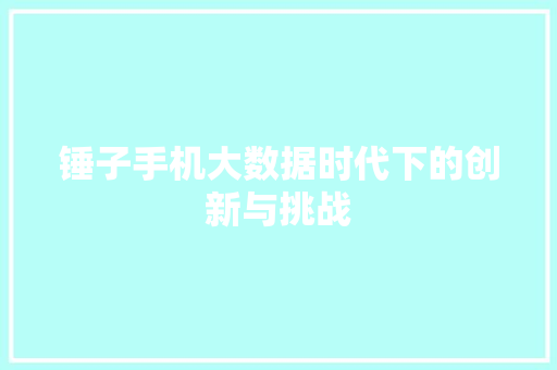 锤子手机大数据时代下的创新与挑战