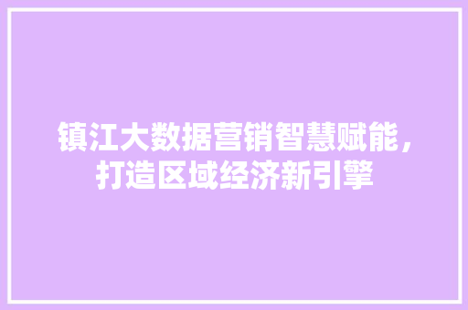 镇江大数据营销智慧赋能，打造区域经济新引擎