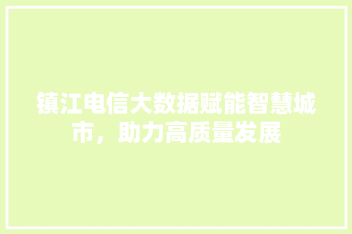 镇江电信大数据赋能智慧城市，助力高质量发展