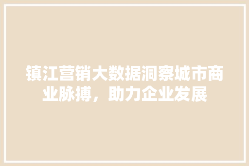 镇江营销大数据洞察城市商业脉搏，助力企业发展
