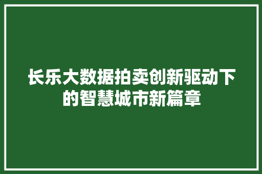 长乐大数据拍卖创新驱动下的智慧城市新篇章