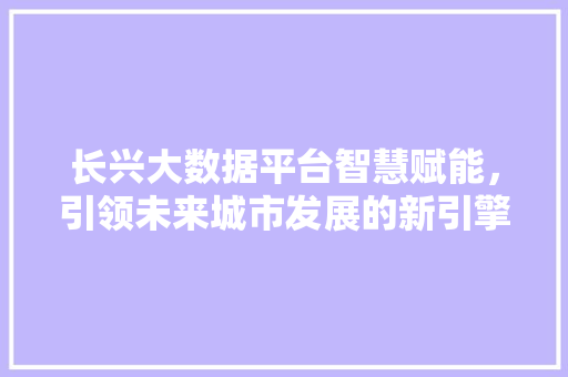 长兴大数据平台智慧赋能，引领未来城市发展的新引擎