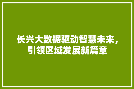 长兴大数据驱动智慧未来，引领区域发展新篇章
