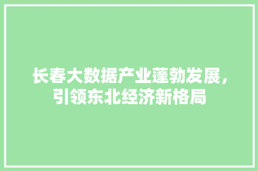 长春大数据产业蓬勃发展，引领东北经济新格局  第1张