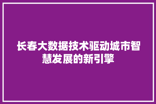 长春大数据技术驱动城市智慧发展的新引擎