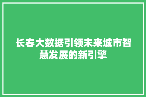 长春大数据引领未来城市智慧发展的新引擎