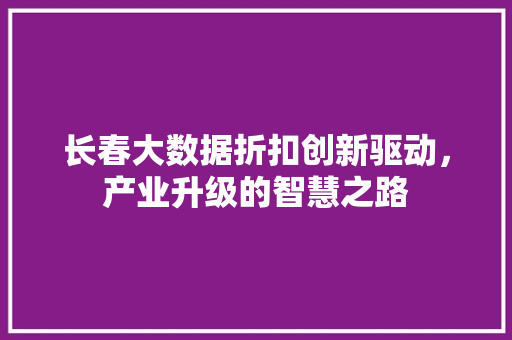 长春大数据折扣创新驱动，产业升级的智慧之路  第1张