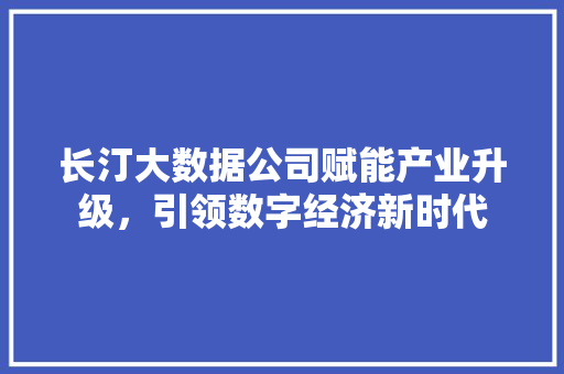 长汀大数据公司赋能产业升级，引领数字经济新时代