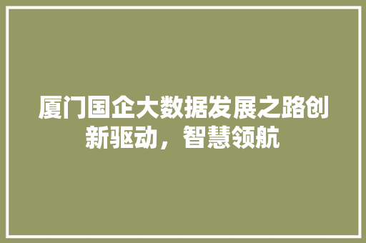厦门国企大数据发展之路创新驱动，智慧领航