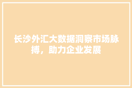 长沙外汇大数据洞察市场脉搏，助力企业发展