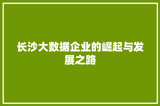 长沙大数据企业的崛起与发展之路  第1张