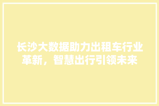 长沙大数据助力出租车行业革新，智慧出行引领未来
