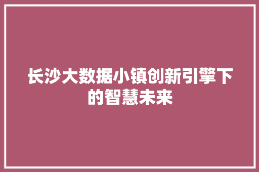 长沙大数据小镇创新引擎下的智慧未来