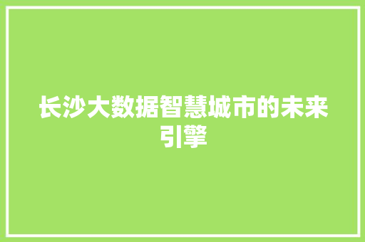 长沙大数据智慧城市的未来引擎  第1张