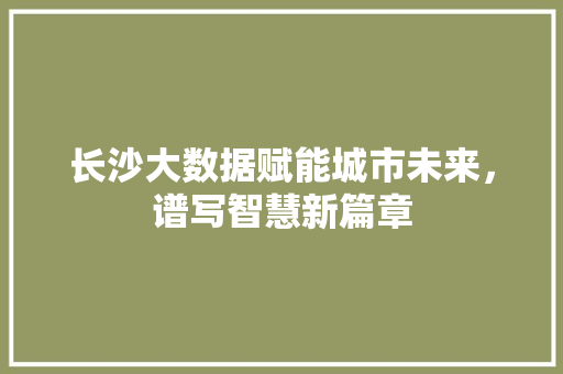 长沙大数据赋能城市未来，谱写智慧新篇章  第1张
