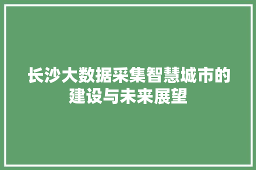 长沙大数据采集智慧城市的建设与未来展望  第1张