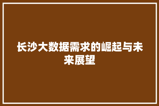 长沙大数据需求的崛起与未来展望  第1张