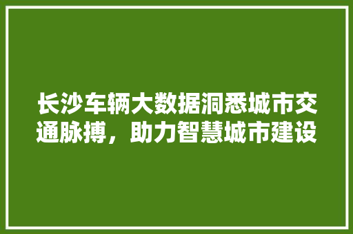 长沙车辆大数据洞悉城市交通脉搏，助力智慧城市建设