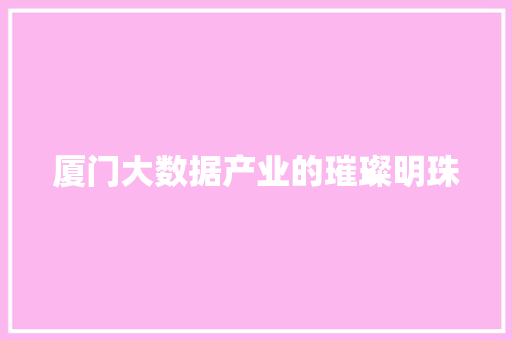 厦门大数据产业的璀璨明珠  第1张