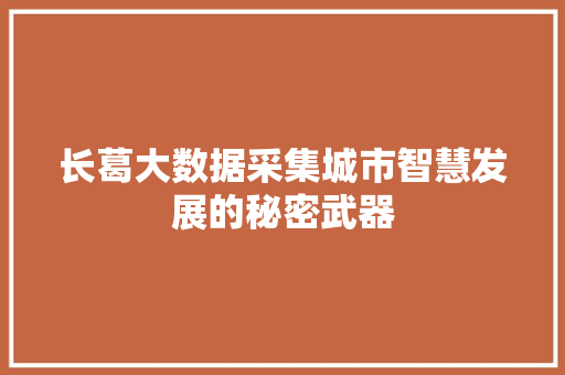 长葛大数据采集城市智慧发展的秘密武器