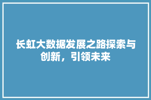 长虹大数据发展之路探索与创新，引领未来