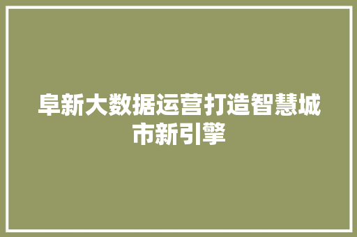 阜新大数据运营打造智慧城市新引擎