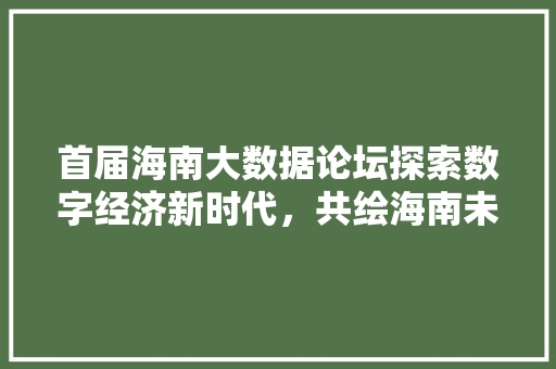 首届海南大数据论坛探索数字经济新时代，共绘海南未来蓝图