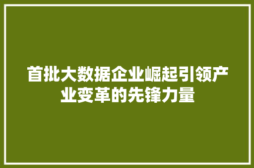首批大数据企业崛起引领产业变革的先锋力量  第1张
