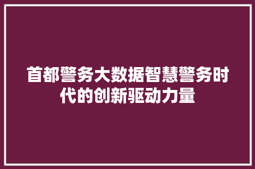 首都警务大数据智慧警务时代的创新驱动力量