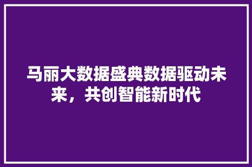 马丽大数据盛典数据驱动未来，共创智能新时代