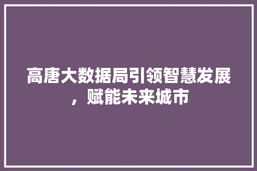 高唐大数据局引领智慧发展，赋能未来城市
