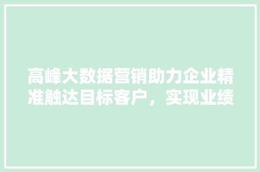 高峰大数据营销助力企业精准触达目标客户，实现业绩飞跃