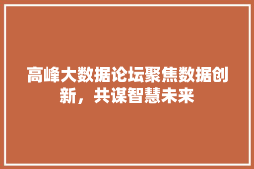 高峰大数据论坛聚焦数据创新，共谋智慧未来