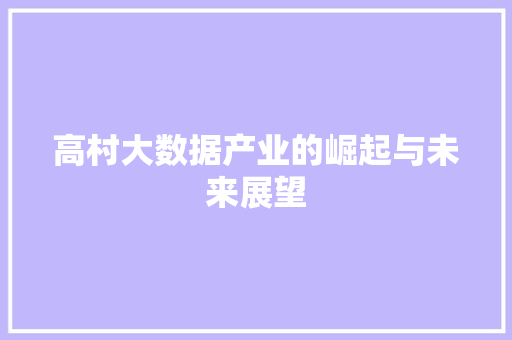高村大数据产业的崛起与未来展望