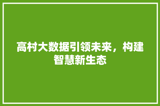 高村大数据引领未来，构建智慧新生态